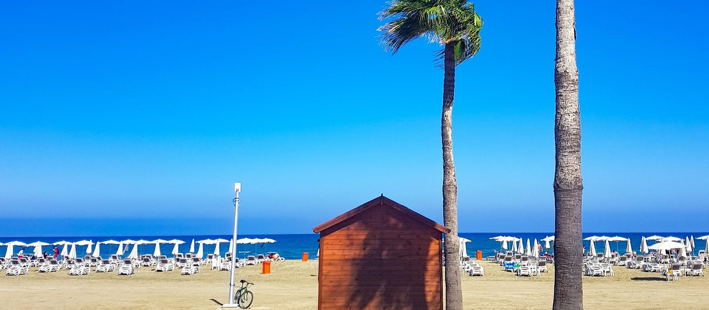 Larnaca beachfront with rows of sun umbrellas and tall palm trees